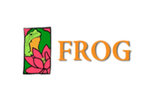 International Yoga Teacher Training Retreats – Frog Lotus Yoga