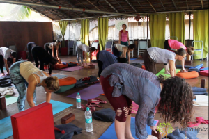 Gentle Hatha Yoga with Suzana